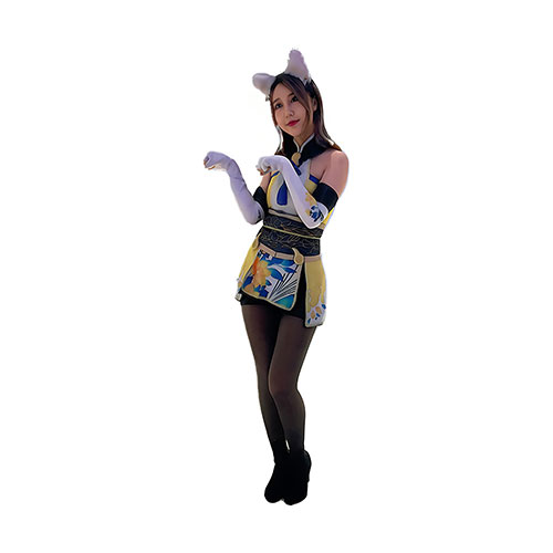 Action Figure
