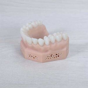 Dental Printing